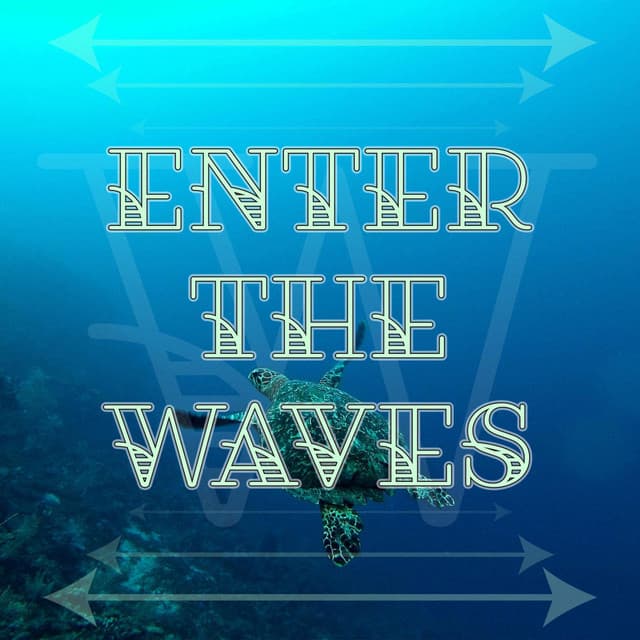 Enter the Waves - Relaxing Ocean Waves Channel