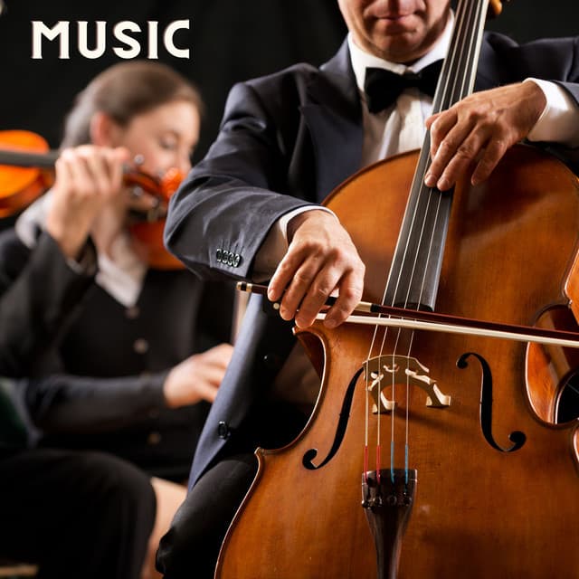 Music - Richard Strauss