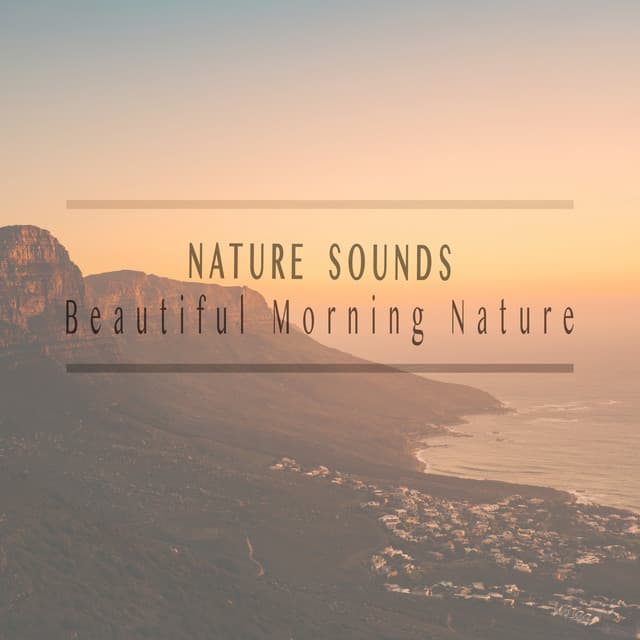 Beautiful Morning Nature - Nature Sounds