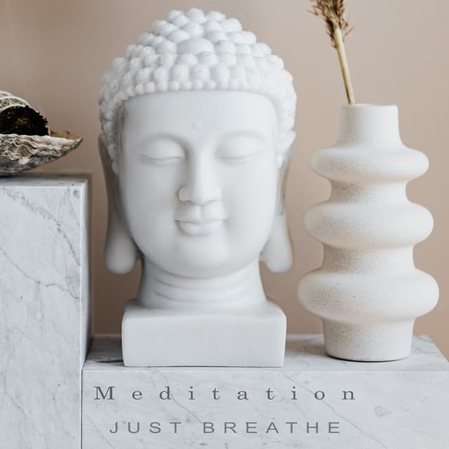 Just Breathe - Meditation