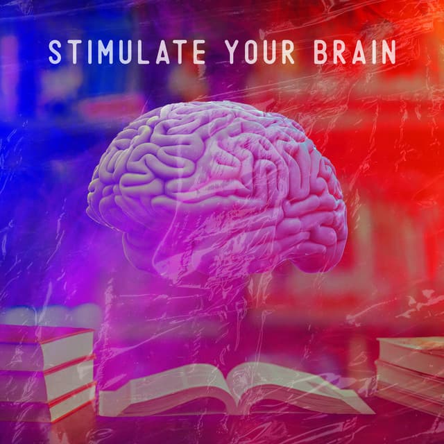 Stimulate Your Brain: Systematic and Effective Learning, Reduce Stress, Positive Mindset - Focus Skills Zone