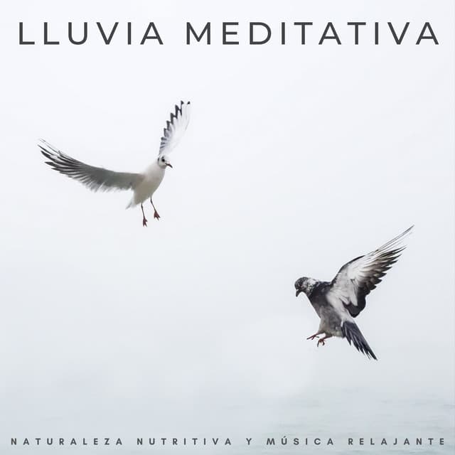 Lluvia Meditativa: Naturaleza Nutritiva Y Música Relajante - La lluvia es mi vida