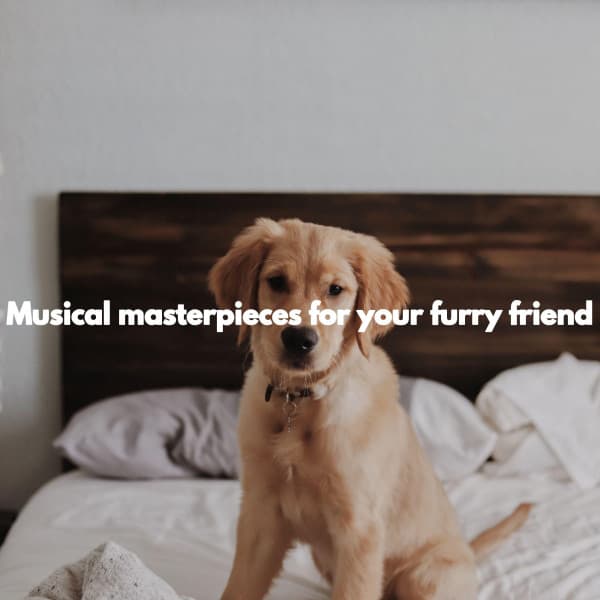 Musical masterpieces for your furry friend - Musica para Leer Ambiente