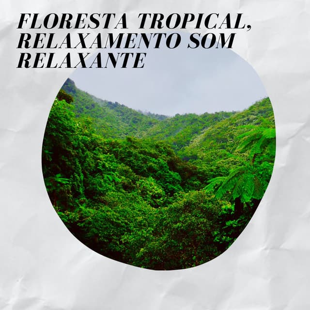 Floresta Tropical, Relaxamento Som Relaxante - Floresta Tropical
