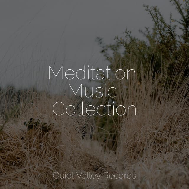 Meditation Music Collection - Regen