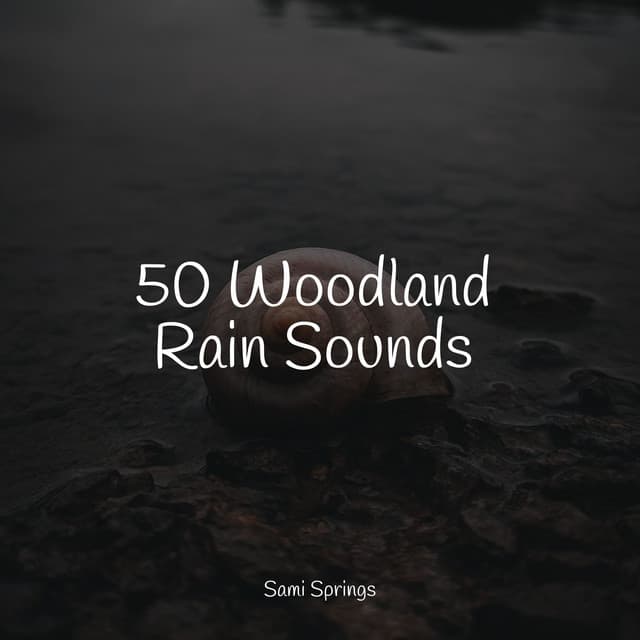 50 Woodland Rain Sounds - Sleep Makers Samples