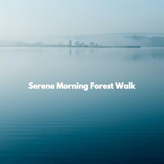 Serene Morning Forest Walk - Deluxe Elevator Music