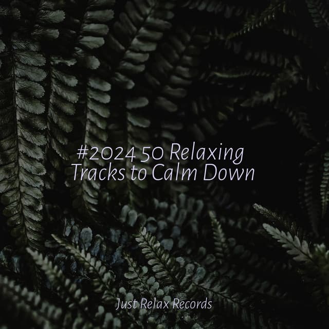 #2024 50 Relaxing Tracks to Calm Down - Sonido Del Bosque y Naturaleza