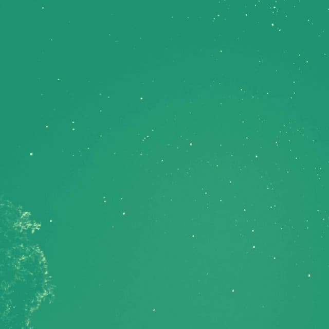 Bgm for Evening Time - Fine Dining Music