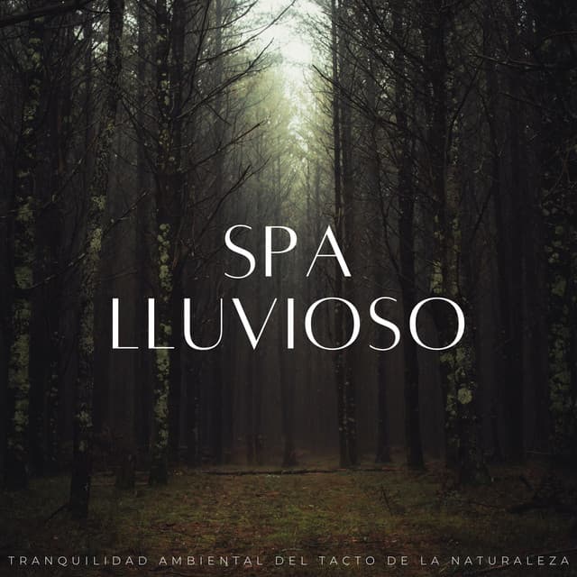 Spa Lluvioso: Tranquilidad Ambiental Del Tacto De La Naturaleza - Sonidos De Lluvia