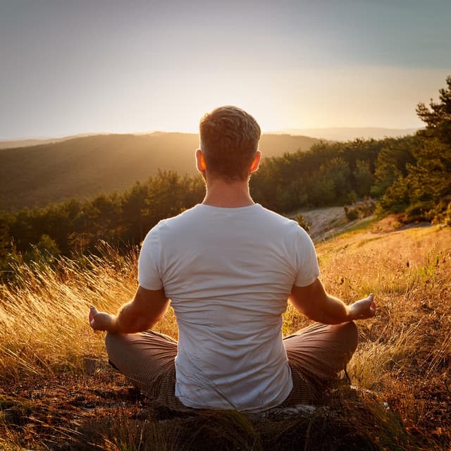 Estados De Ánimo Meditativos: Música Para La Reflexión - Paz Nirvana