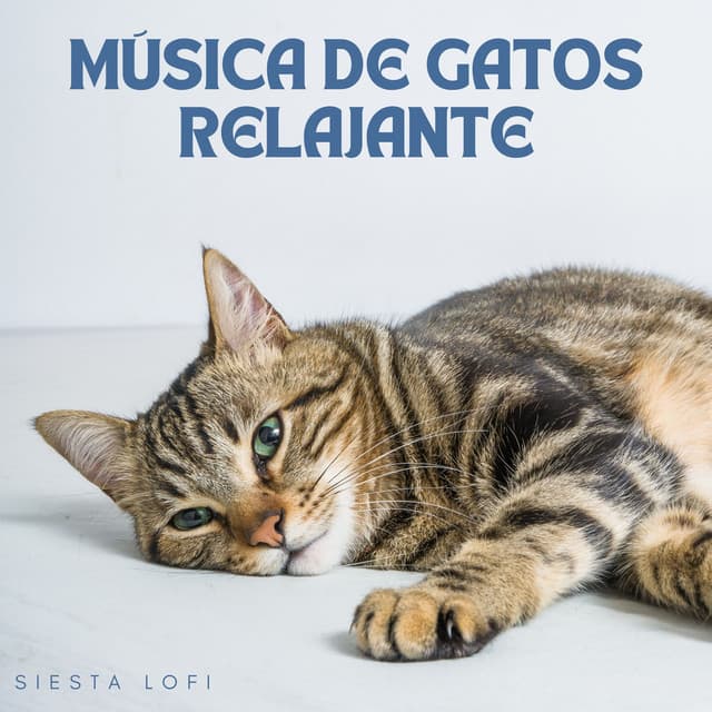 Música De Gatos Relajante: Siesta Lofi - Ritmos Lofi Hop-Hop