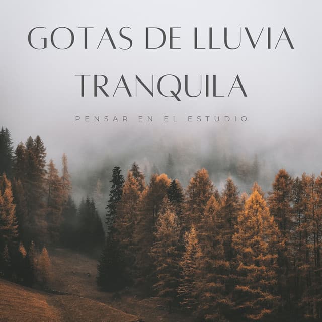 Gotas De Lluvia Tranquila: Pensar En El Estudio - Estudio de sonidos de lluvia