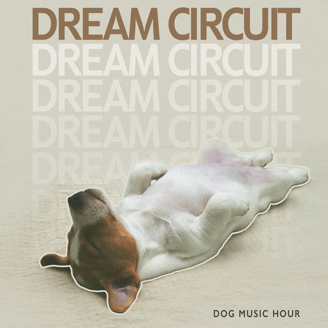 Dream Circuit - Dog Music Hour