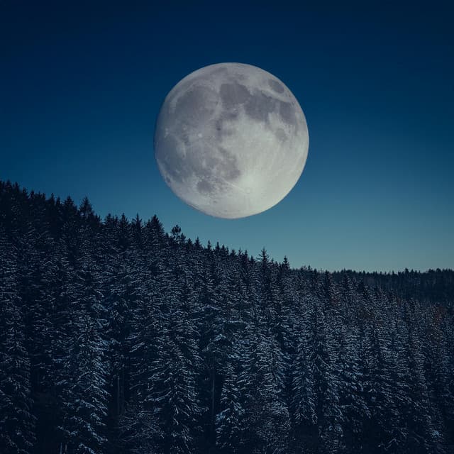 Dormir Tranquilo: Música Relajante Para La Noche - Tecnología ambiental