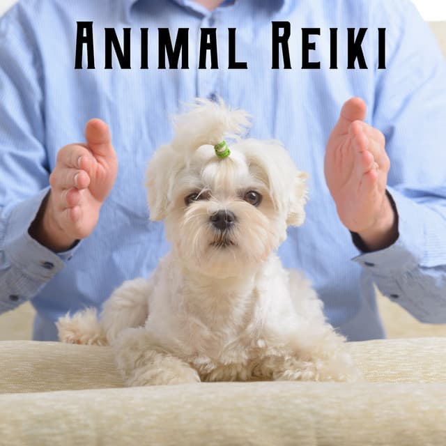 Animal Reiki: Background Music to Soothe, Heal, Relax and Energize - Pet Music Academy