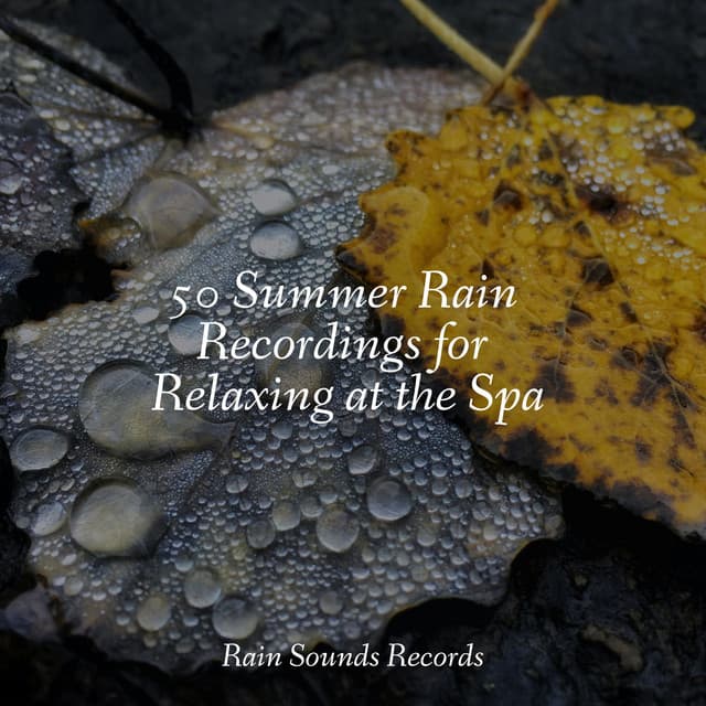 50 Summer Rain Recordings for Relaxing at the Spa - PowerThoughts Meditation Club