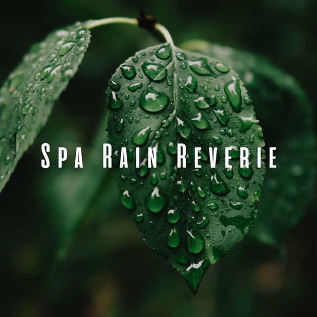 Spa Rain Reverie: Binaural Sounds for Ultimate Serenity - The Earth Song