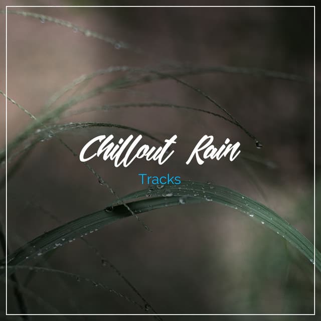 13 Chillout Rain Tracks to Sleep Eight Hours - Nature Sounds XLE Library