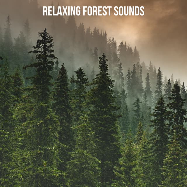 Relaxing Forest Sounds - Nature Chillout