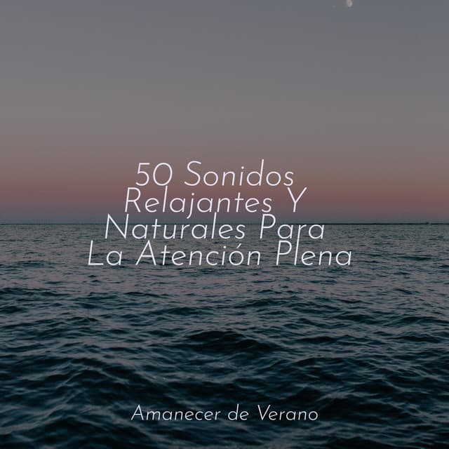 50 Sonidos Relajantes Y Naturales Para La Atención Plena - Música Relajante para Bebés