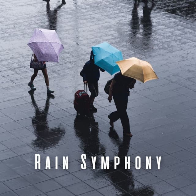 Rain Symphony: Chill Sounds for Productive Work - Productive Work Music