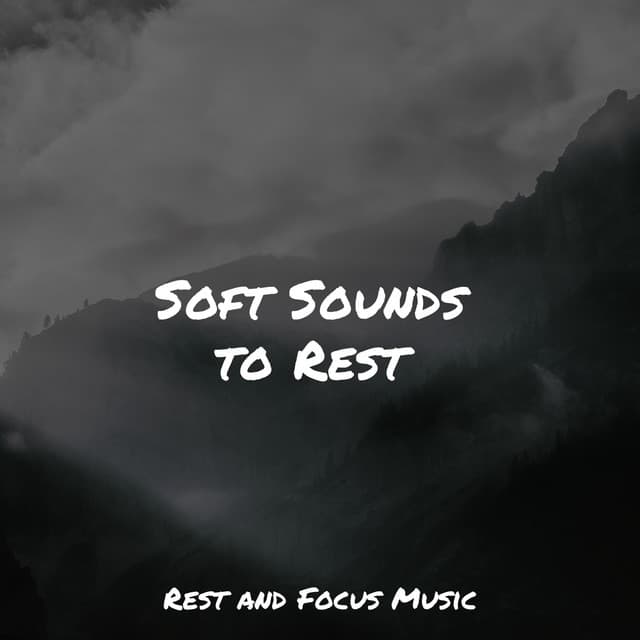 Soft Sounds to Rest - Deep Focus