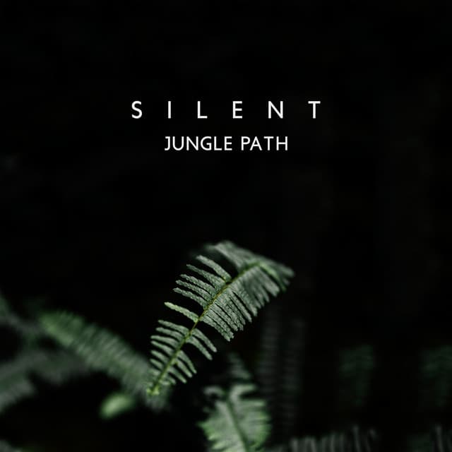 Silent Jungle Path: Imagine Walking in Jungle Forest, Nature Path to Relaxation - Natural Treatment Zone
