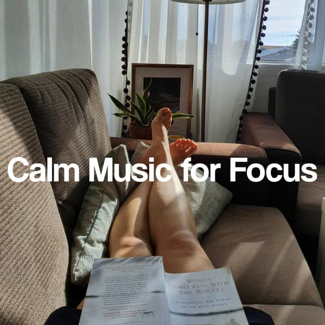 Calm Music for Focus - Relaxing Classical Music For Studying