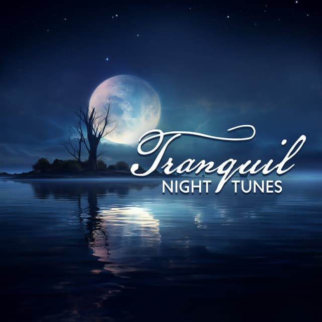 Tranquil Night Tunes: Relaxing Twilight Harmonies, Quiet Moonlit Music - Deep Sleep System