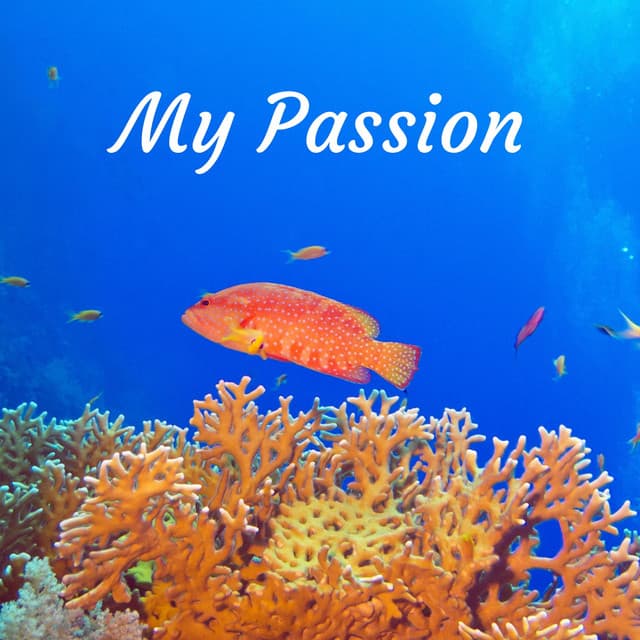 My Passion - Masala Roo