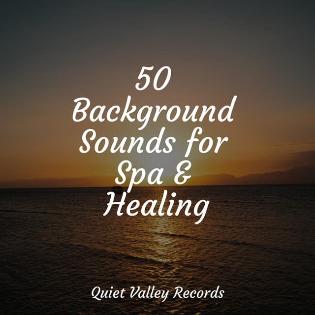 50 Background Sounds for Spa & Healing - Music to Relax in Free Time