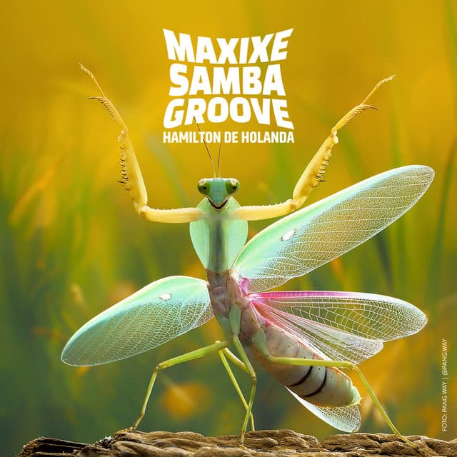 Maxixe Samba Groove - Hamilton De Holanda