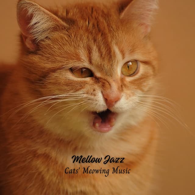 Mellow Jazz: Cats' Meowing Music - Smooth Jazz