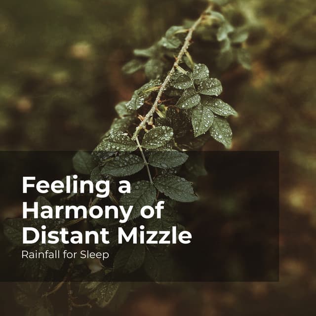 Feeling a Harmony of Distant Mizzle - Rainfall For Sleep