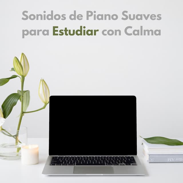 Sonidos De Piano Suaves Para Estudiar Con Calma - Lista de reproducción de piano clásico