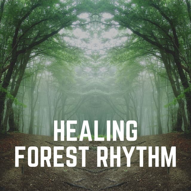 Healing Forest Rhythm - Sounds of Nature Noise