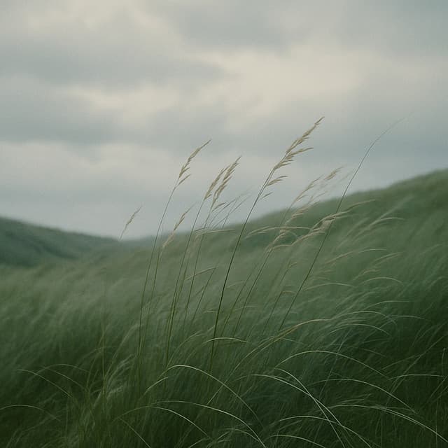 49 Masking Melodies: Floating on Ambient Wind - White Noise Therapy