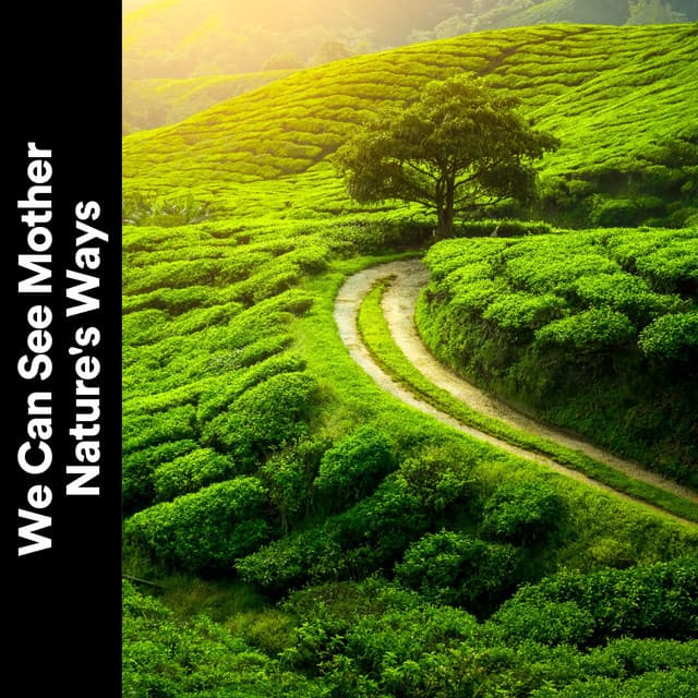 We Can See Mother Nature's Ways - Naturalis