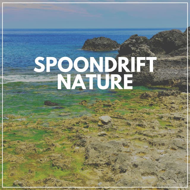 Spoondrift Nature - Nature Label