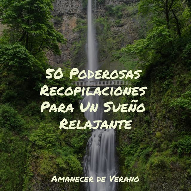 50 Poderosas Recopilaciones Para Un Sueño Relajante - Sonidos De Truenos y Lluvia