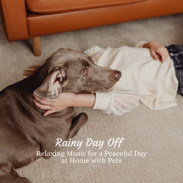 Rainy Day Off: Relaxing Music for a Peaceful Day at Home with Pets - Rain Face