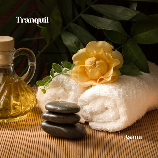Tranquil Asana: Ambient Spa Sounds - Thai Massage Music