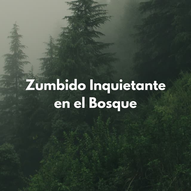 Zumbido Inquietante En El Bosque - Sonidos Del Bosque
