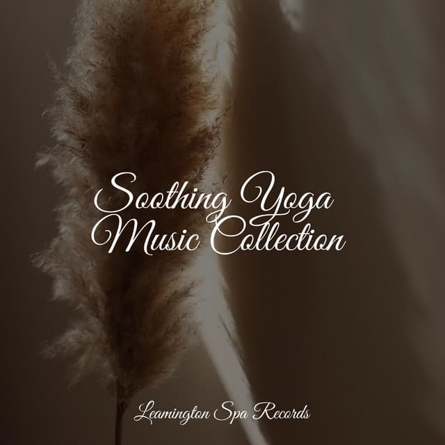 Soothing Yoga Music Collection - Thunder Storm