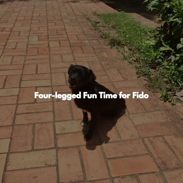 Four-legged Fun Time for Fido - Jazz Acustico