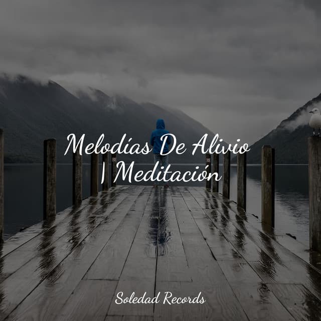 Melodías De Alivio | Meditación - Academia de Meditação Buddha