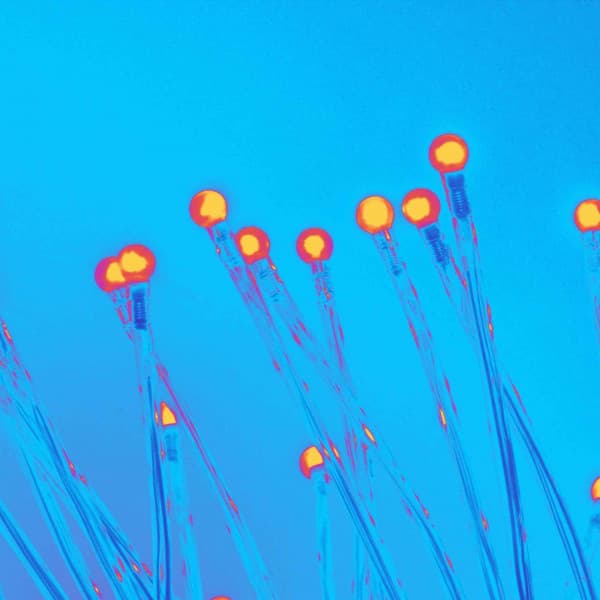 Inspiring Background for Studying Legends - Jazz Vibe Chill Out