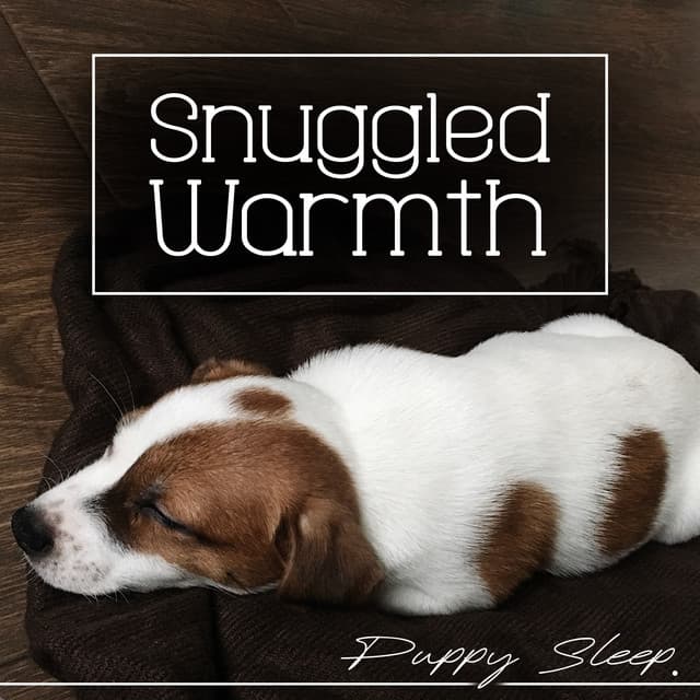 Snuggled Warmth - Puppy Sleep