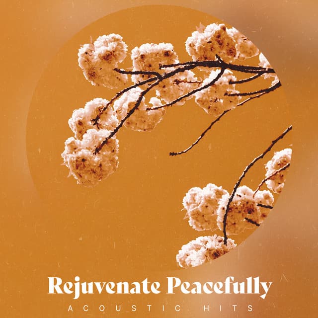 Rejuvenate Peacefully - Acoustic Hits